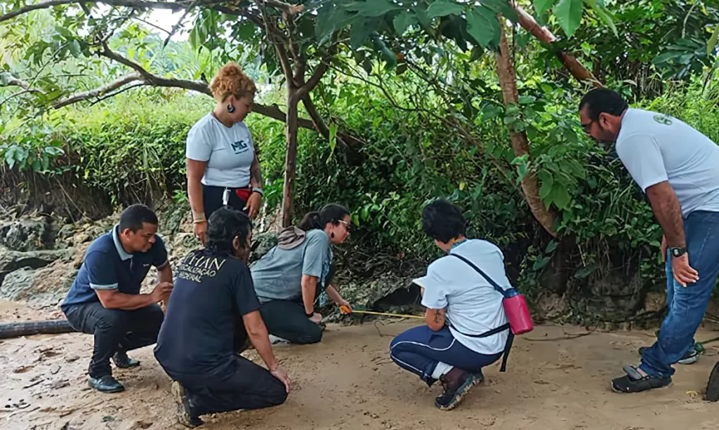 Quatro novos sítios arqueológicos são descobertos em Marajó, no Pará