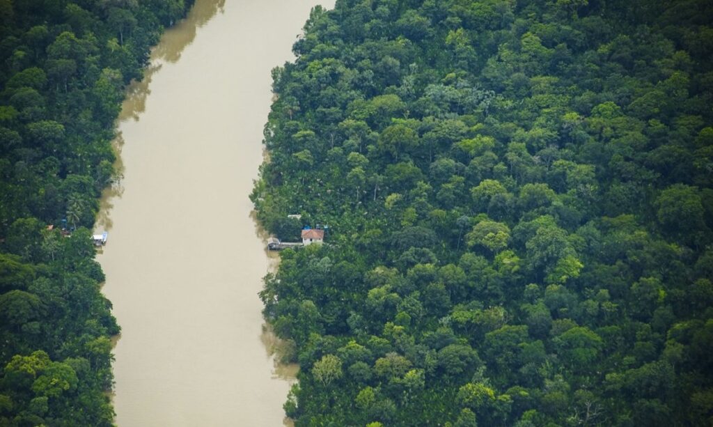 Pará se destaca na Amazônia com redução de 15% na área recoberta por alertas de desmatamento