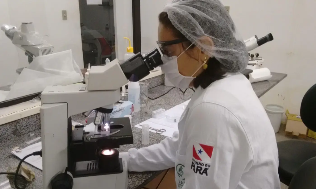Pará registra redução nos casos de doença de Chagas em 2024