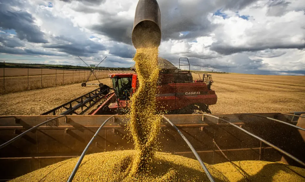 Exportações do agro brasileiro caem em 2024 após 4 anos de alta