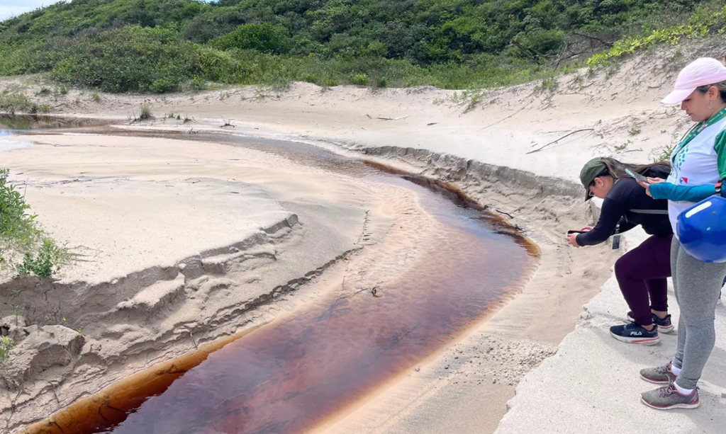 Ideflor-Bio vai elaborar Plano de Gestão para Monumento Natural Atalaia