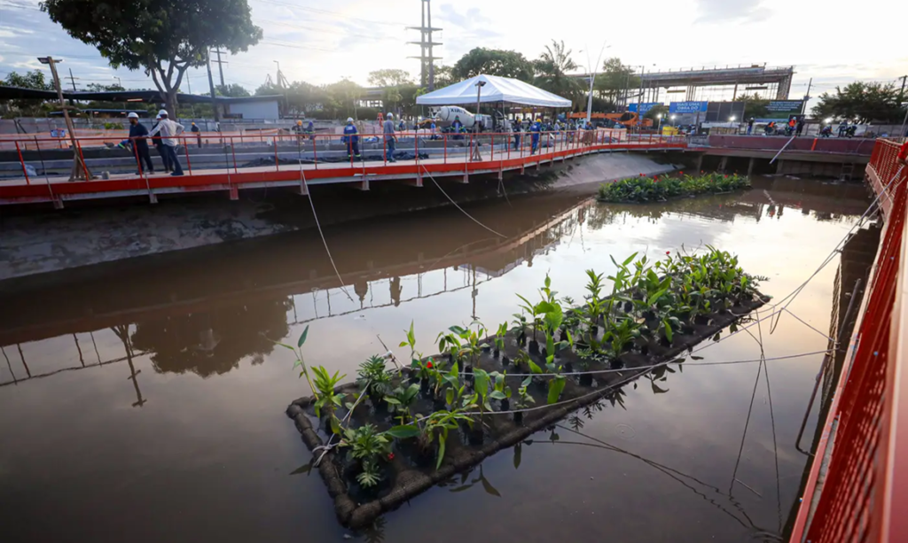 Paisagismo sustentável é destaque em avanço da obra da Nova Doca