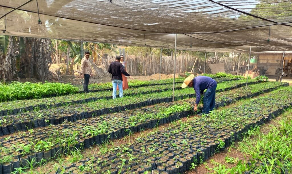 Programa Paricá anuncia projetos selecionados para promover sustentabilidade no sudeste do Pará