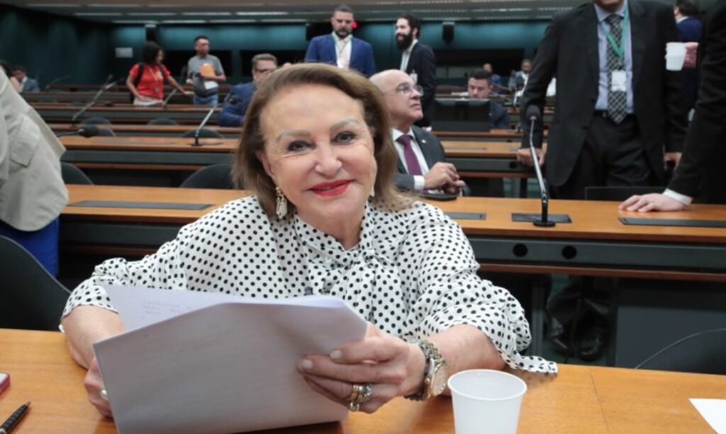 Elcione Barbalho é eleita presidente da Comissão de Meio Ambiente da Câmara