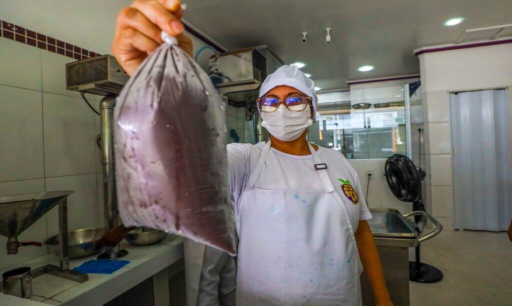 Projeto de lei sobre qualidade e comercialização do açaí no Pará é aprovado pela Alepa