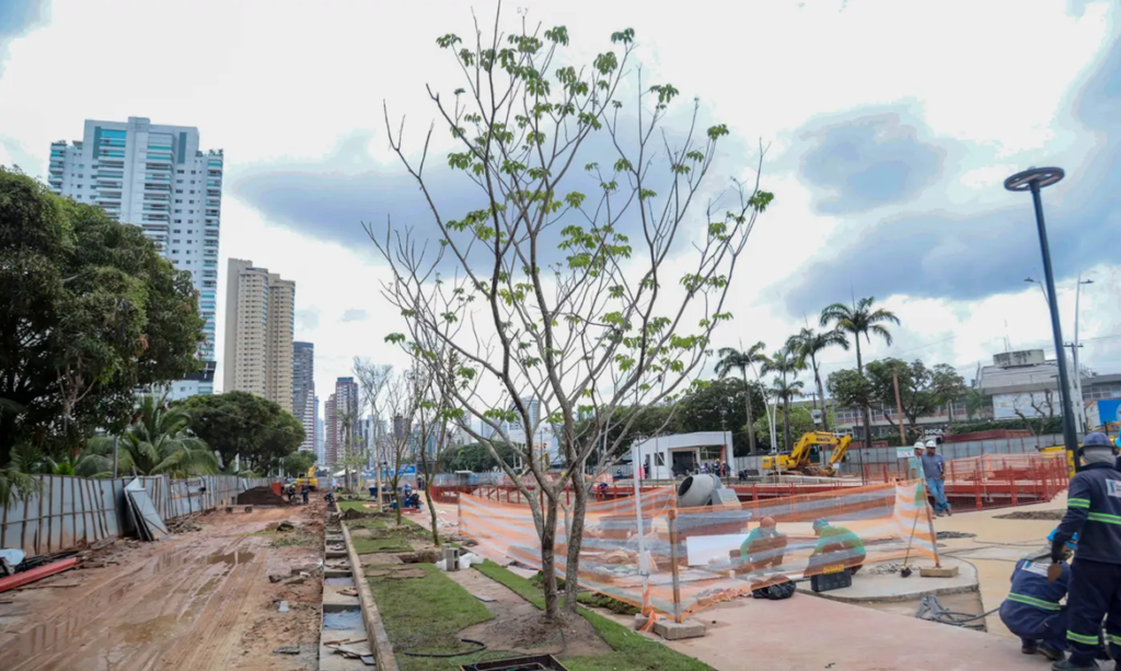 Parque Linear da Nova Doca recebe novas árvores de médio e grande porte
