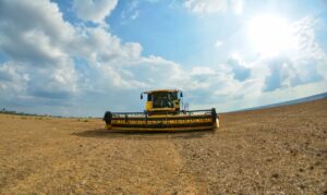 No Pará, exportações de produtos do agronegócio cresceram quase 14% no primeiro trimestre