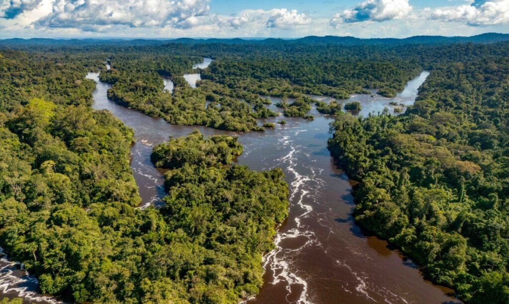 Em março, Pará registra redução de 36% em área recoberta por alerta de desmatamento