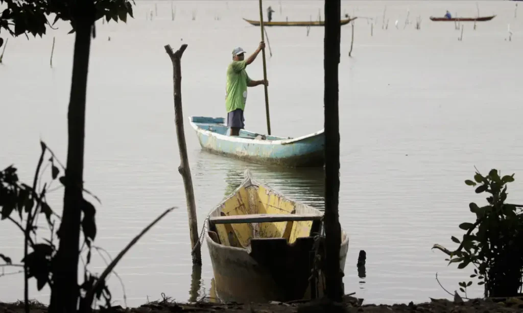 Negligência afeta 3,2 mil famílias de pescadores artesanais