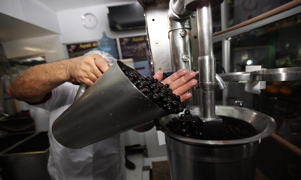 Consumidores já encontraram o litro do açaí custando até R$ 60 em Belém