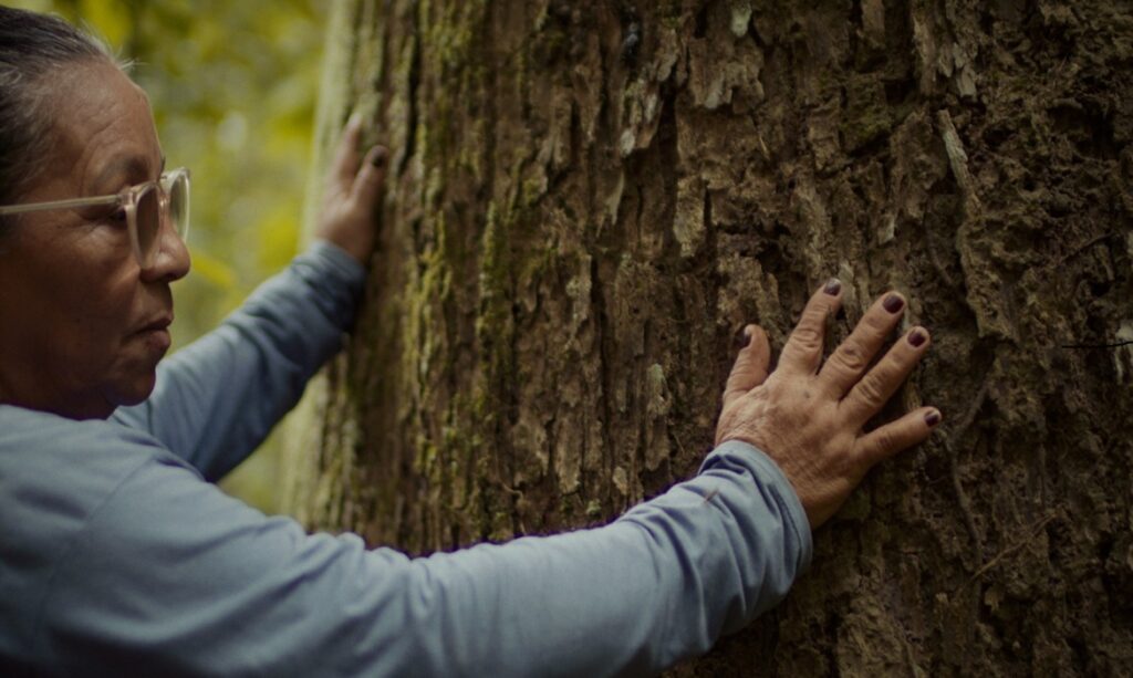 Natura é destaque em série global por modelo sustentável na Amazônia