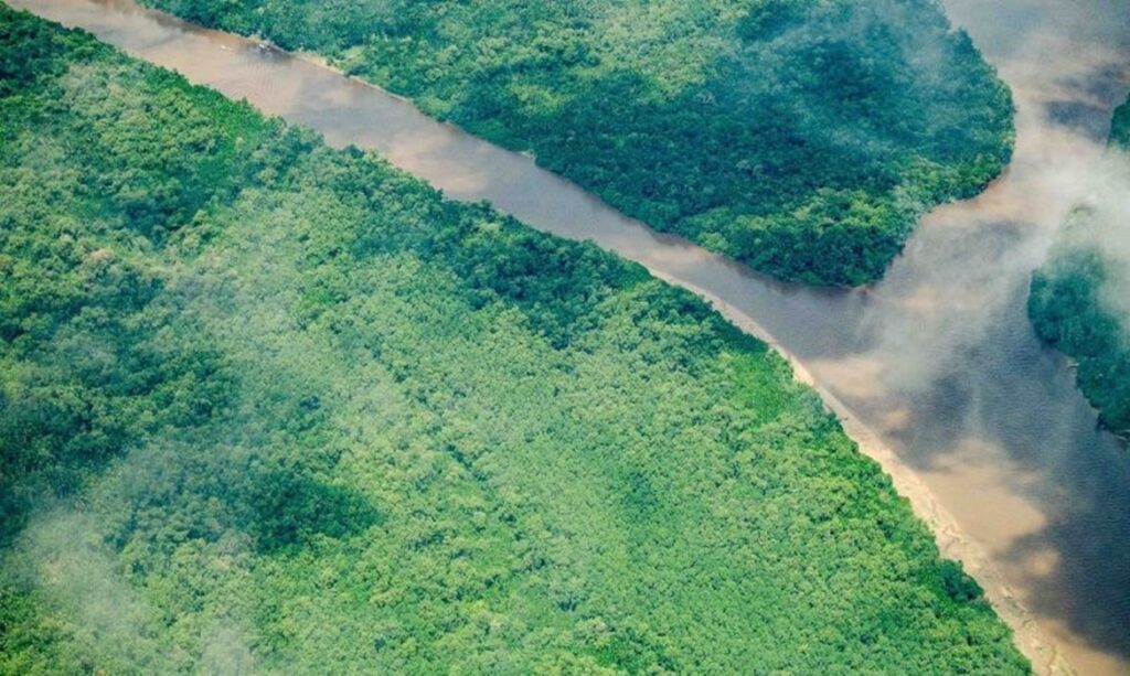 Pará reduz em 19% alertas de desmatamento na Amazônia