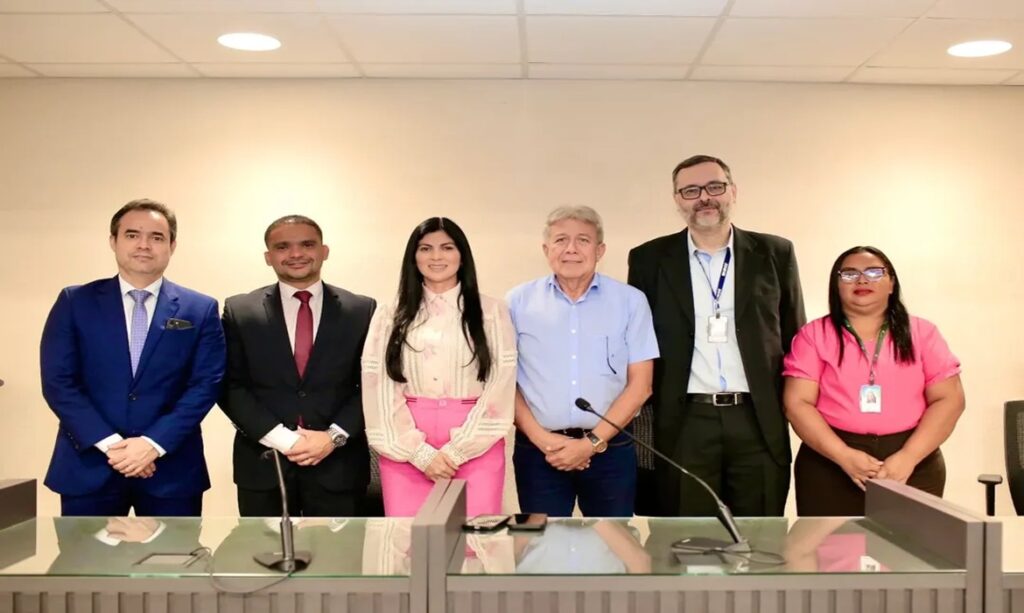 Diana Belo coordena reunião de comissão na Alepa