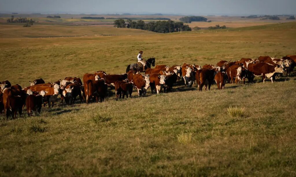 Economia brasileira avança 1,4% no primeiro trimestre de 2025, impulsionada pela agropecuária