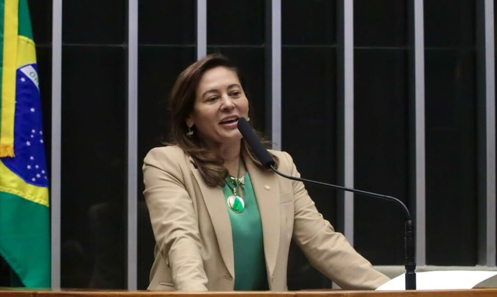 Dilvanda Faro comemora aprovação do Acordo de Sede da COP 30 10 Dilvanda Faro comemora aprovação do Acordo de Sede da COP 30