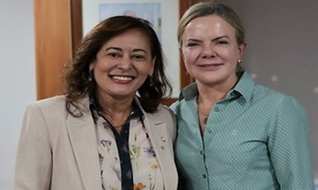 Dilvanda Faro debate políticas públicas para o Pará em reunião com ministra em Brasília