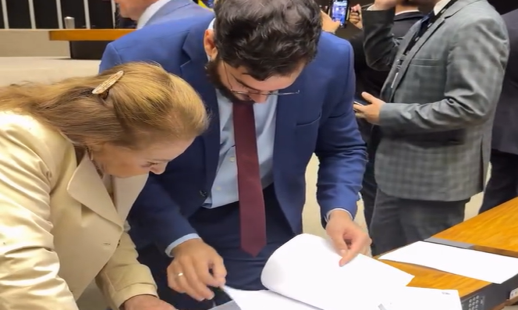 Deputada Elcione em mais uma sessão na Câmara