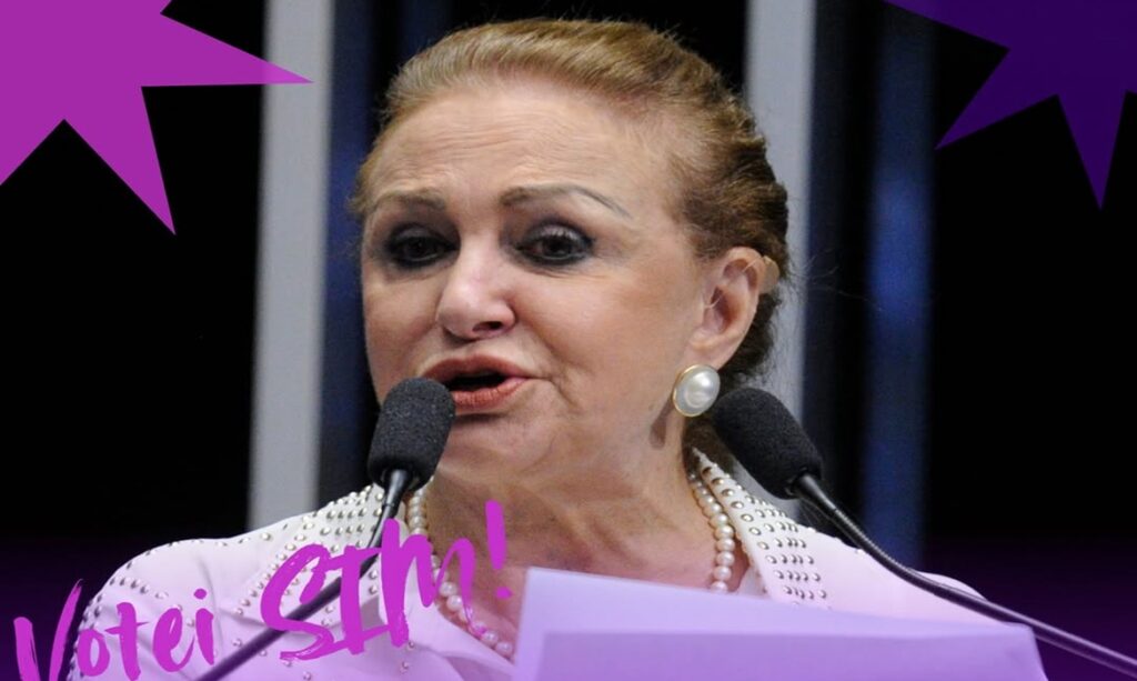 Deputada Elcione vota a favor da isenção de IR para quem ganha até R$ 5 mil