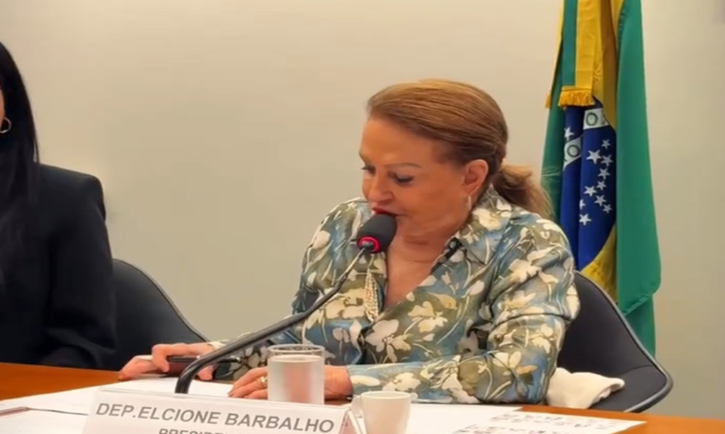 Elcione comemora aprovação de indicações orçamentárias para 2026 pela Comissão de Meio Ambiente da Câmara