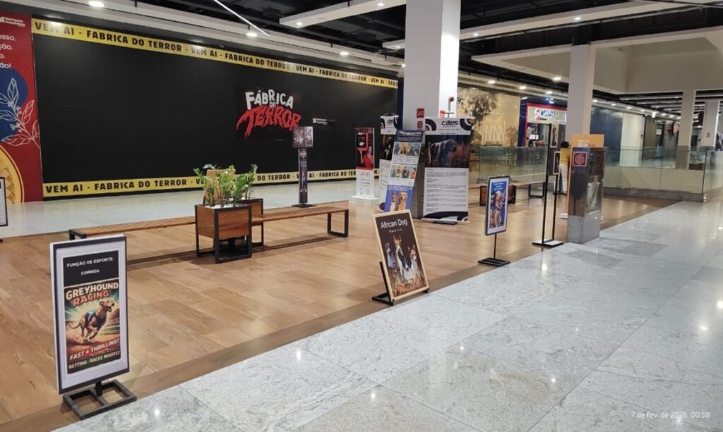 Shopping Metrópole Ananindeua recebe exposição fotográfica gratuita sobre vínculo entre cães e humanos