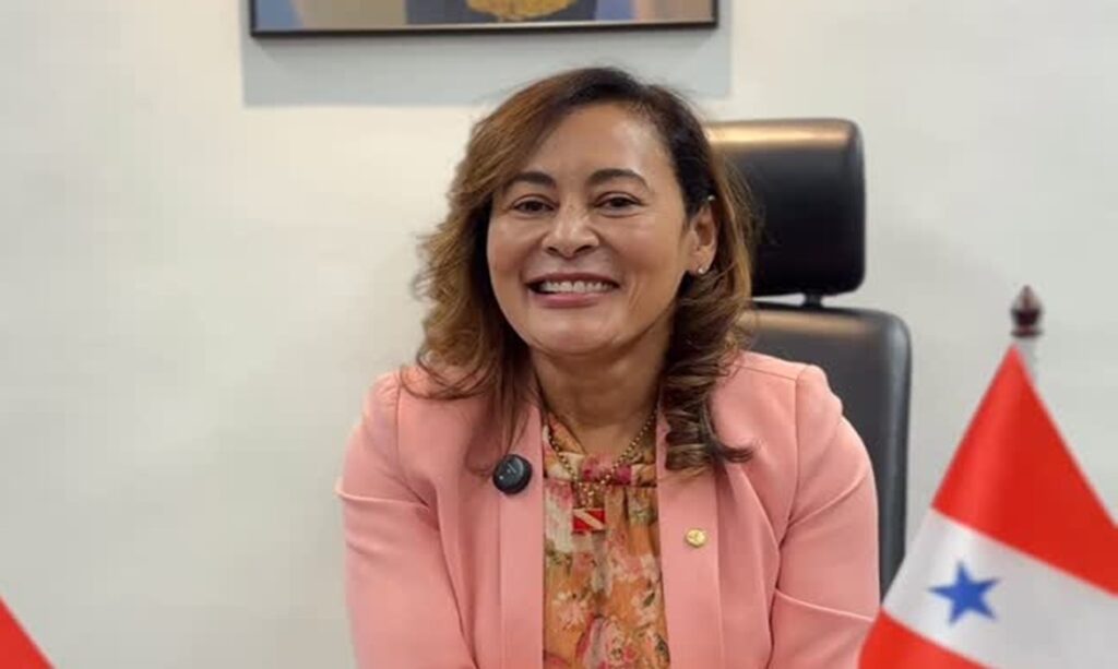 Dilvanda Faro acompanha relatório de MP que altera regras do seguro-defeso