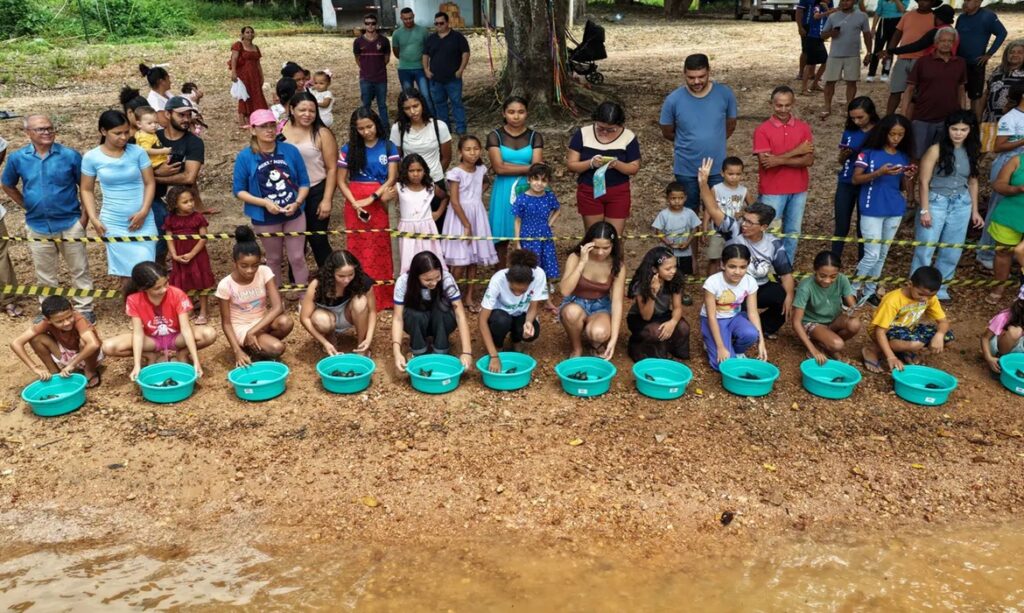 Mais de sete mil quelônios são devolvidos à natureza no lago de Tucuruí