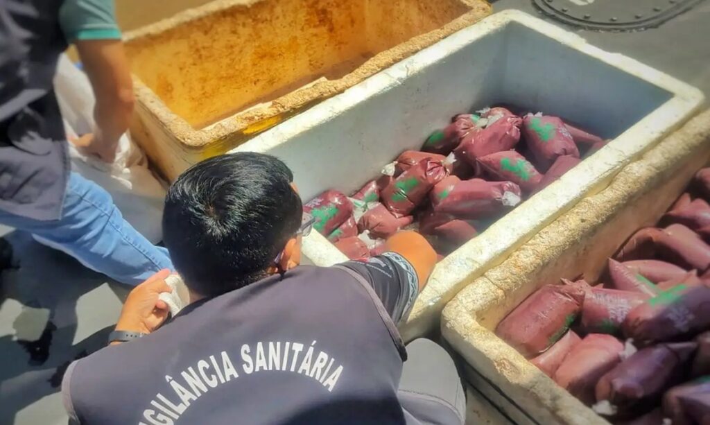 Agentes apreendem mais de 200 litros de açaí irregular em base fluvial no Pará 1 Agentes apreendem mais de 200 litros de açaí irregular em base fluvial no Pará