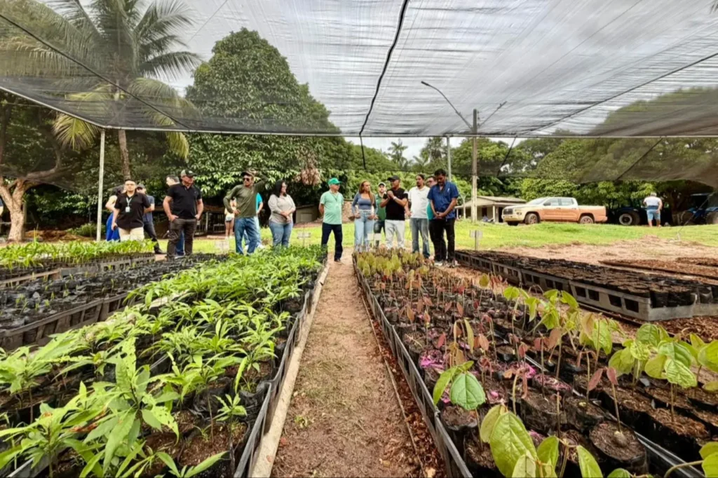 Ideflor-Bio inaugura novas unidades em Marapanim, Bragança e Tailândia com viveiros de até 20 mil mudas