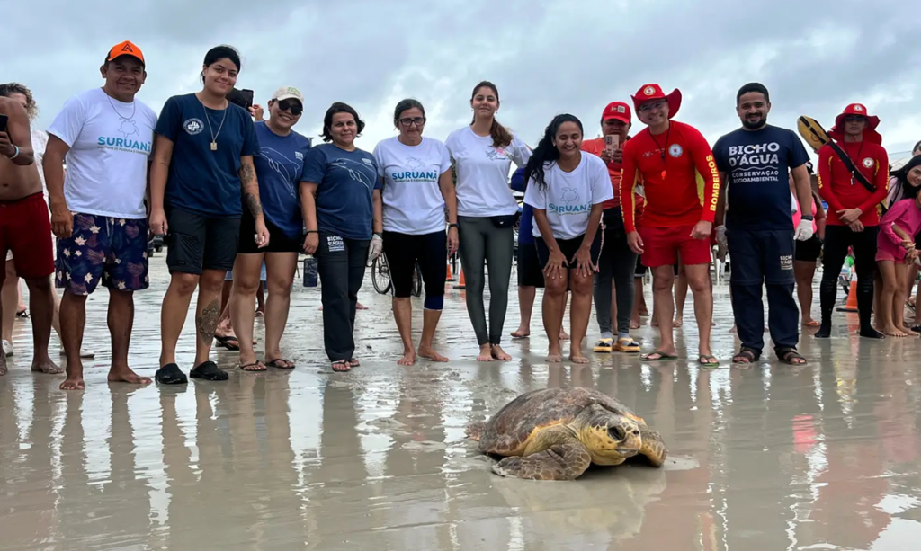 Tartaruga marinha resgatada em Salinópolis retorna ao mar após tratamento de 68 dias 1 Tartaruga marinha resgatada em Salinópolis retorna ao mar após tratamento de 68 dias
