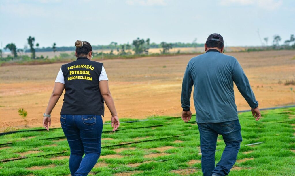 Novo PSS da Adepará oferta 16 vagas para contratação temporária em 13 municípios do Pará