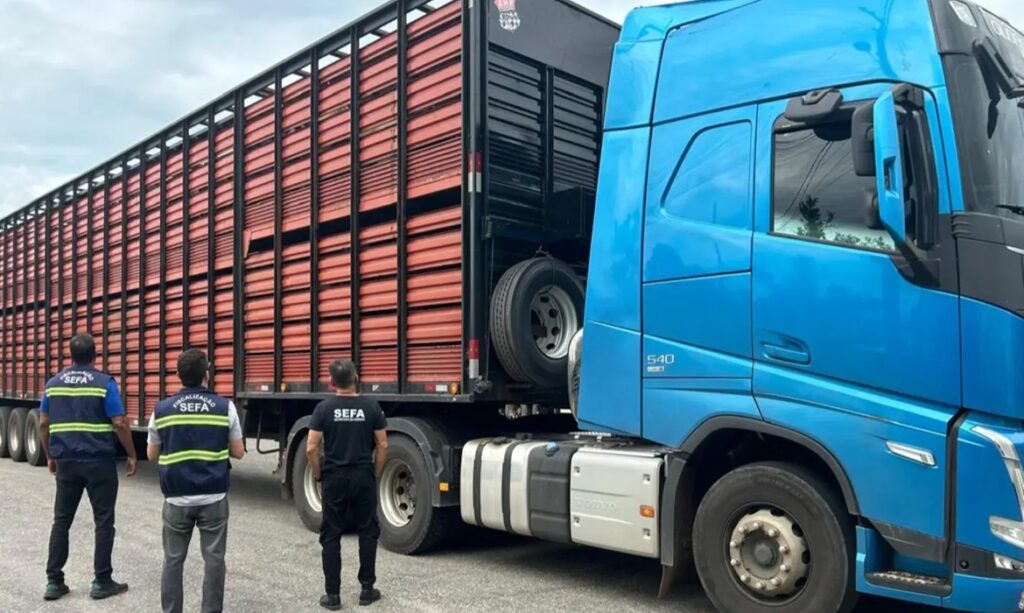 Fiscalização da Sefa apreende cargas irregulares no estado 1 Fiscalização da Sefa apreende cargas irregulares no estado