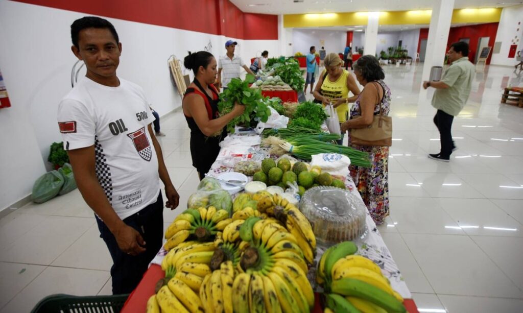 Preço das hortaliças sobe mais de 40% em Belém 10 Preço das hortaliças sobe mais de 40% em Belém