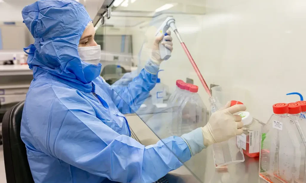 Estudo da PUCPR usa células-tronco contra complicação grave do transplante de medula e mostra resultados promissores