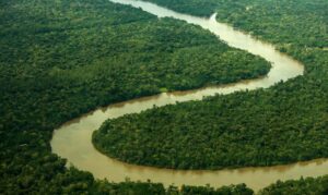 Fapespa integra chamada de R$ 107,1 milhões para pesquisa e inovação na Amazônia