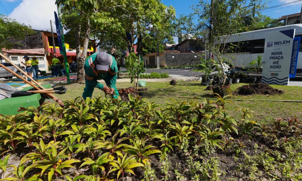 Belém atinge 20 mil mudas plantadas no primeiro semestre e acumula 30 mil desde 2025 com programa Belém Mais Verde