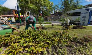 Belém atinge 20 mil mudas plantadas no primeiro semestre e acumula 30 mil desde 2025 com programa Belém Mais Verde