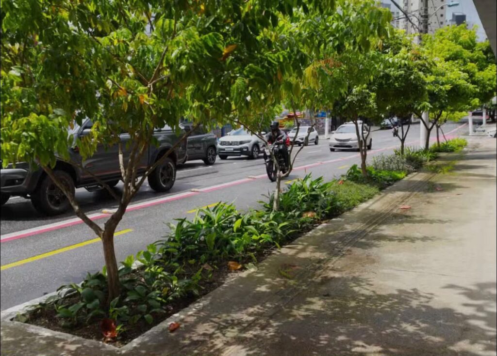 Prefeitura de Belém e Cerpa apresentam maior Jardim de Chuva da capital na avenida Marechal Hermes 5 Prefeitura de Belém e Cerpa apresentam maior Jardim de Chuva da capital na avenida Marechal Hermes