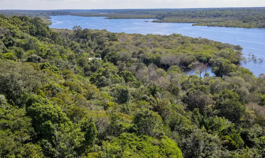 Fundo Amazônia quadruplica aprovações e alcança R$ 5,3 bilhões em doações 1 Fundo Amazônia quadruplica aprovações e alcança R$ 5,3 bilhões em doações