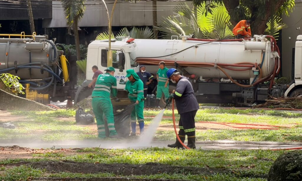 Prefeitura inicia força-tarefa com lavagem diária e ações ambientais para conter proliferação de garças na praça Batista Campos 1 Prefeitura inicia força-tarefa com lavagem diária e ações ambientais para conter proliferação de garças na praça Batista Campos