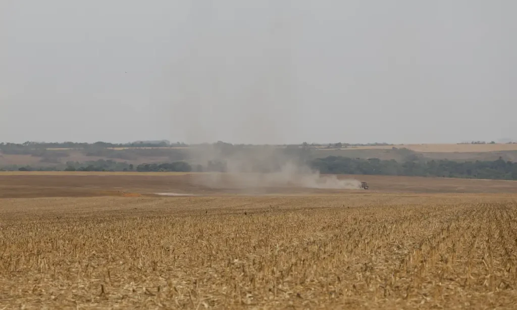 Estudo do WRI Brasil propõe avanços na rastreabilidade socioambiental da soja e da carne