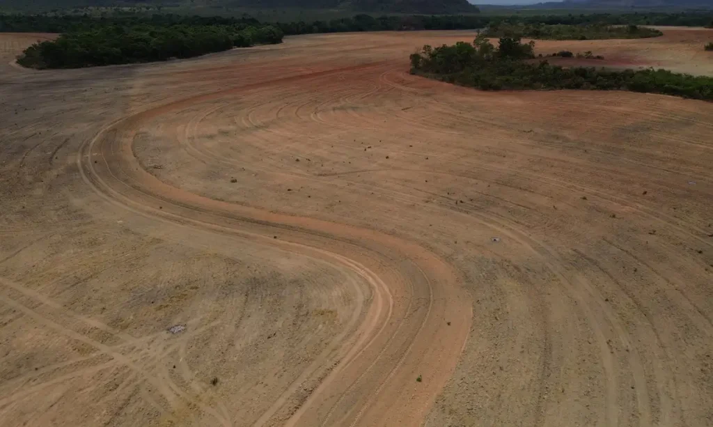 Fim da Moratória da Soja pode ampliar desmatamento na Amazônia em 1,4 milhão de hectares, alerta estudo da Science