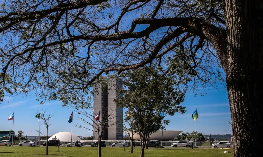 Congresso aprova projeto que aumenta punição para crimes sexuais online contra crianças e adolescentes; texto segue para sanção 1 Congresso aprova projeto que aumenta punição para crimes sexuais online contra crianças e adolescentes; texto segue para sanção