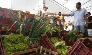 Decreto adia para janeiro de 2027 obrigatoriedade de CNPJ para autônomos e produtores rurais; sistema simplificado deve ser lançado em novembro
