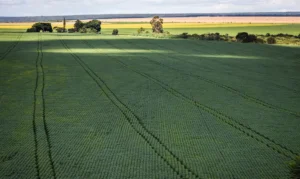 Senado aprova Profert para reduzir dependência de fertilizantes importados; projeto segue para sanção