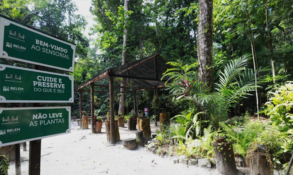Prefeitura de Belém entrega 12 recintos revitalizados no Bosque Rodrigues Alves em semana de 143 anos 1 Prefeitura de Belém entrega 12 recintos revitalizados no Bosque Rodrigues Alves em semana de 143 anos