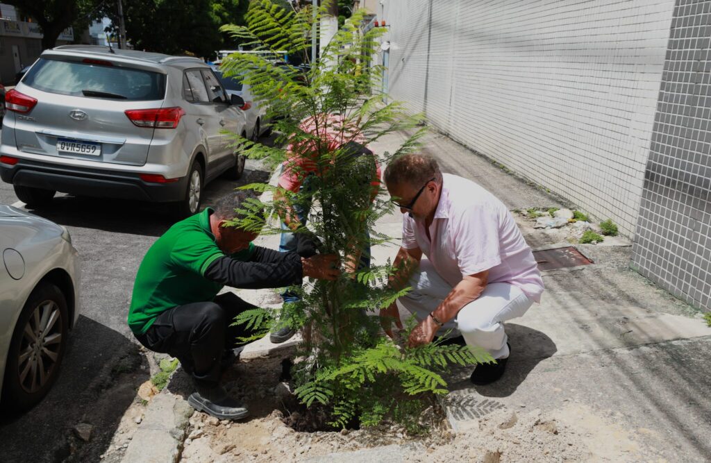 Programa Plante Aqui já plantou 50 mudas em Belém e recebeu 86 solicitações; amor pela cidade inspira moradores