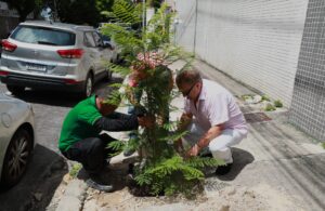 Programa Plante Aqui já plantou 50 mudas em Belém e recebeu 86 solicitações; amor pela cidade inspira moradores