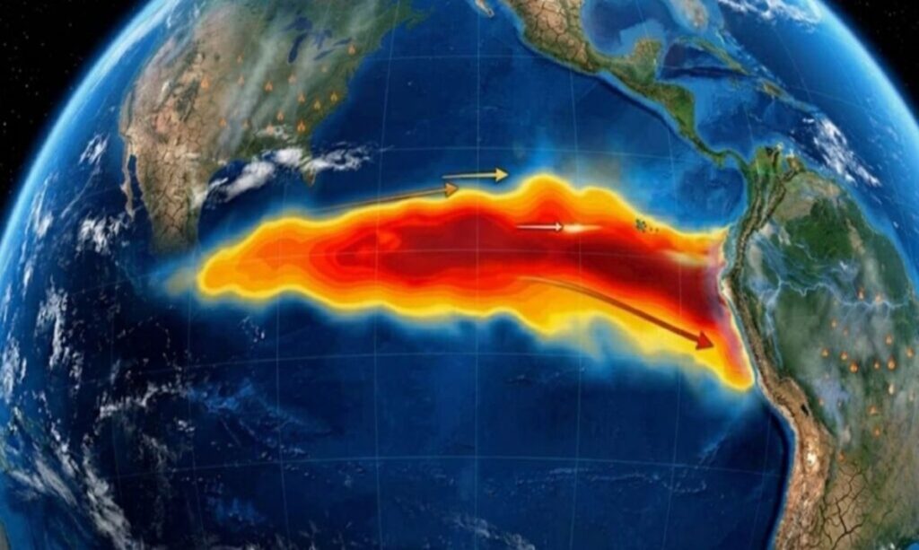 Pará entra em alerta preventivo por possíveis efeitos do El Niño 1 Pará entra em alerta preventivo por possíveis efeitos do El Niño