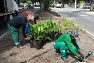Belém constrói maior jardim de chuva da capital na Avenida Marechal Hermes para combater alagamentos e reduzir calor