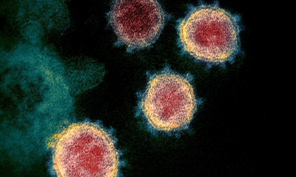 Estudo identifica mais de 40 mil vírus ainda desconhecidos